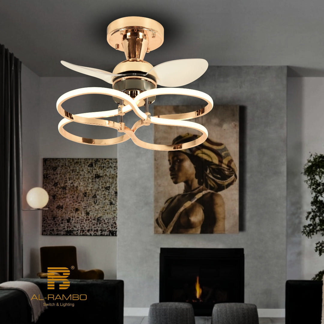 Ceiling light with Fan